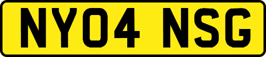 NY04NSG