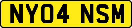 NY04NSM