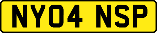 NY04NSP