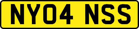 NY04NSS