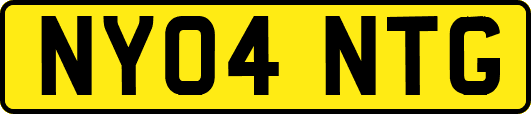 NY04NTG