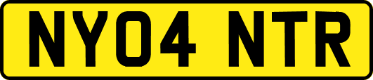 NY04NTR