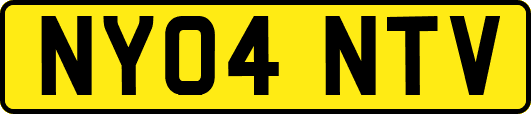 NY04NTV