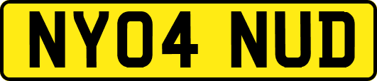 NY04NUD