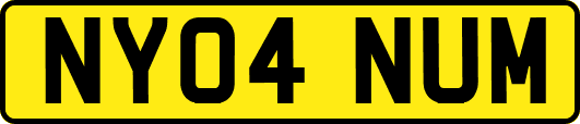 NY04NUM