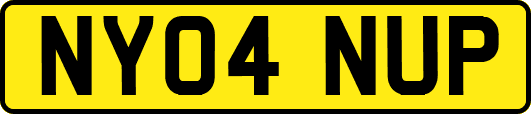 NY04NUP