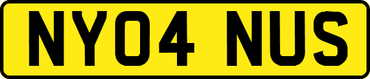 NY04NUS