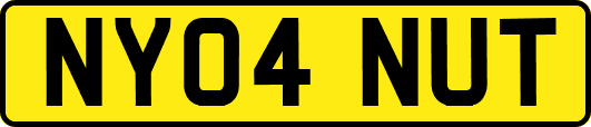 NY04NUT