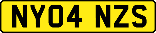 NY04NZS