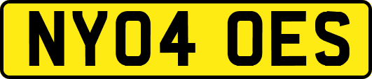 NY04OES