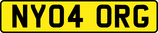 NY04ORG