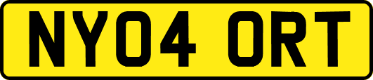 NY04ORT