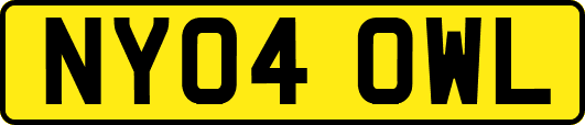 NY04OWL