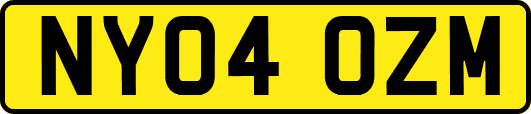 NY04OZM