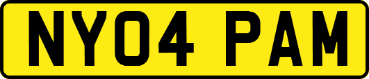 NY04PAM