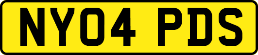 NY04PDS