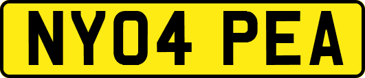 NY04PEA