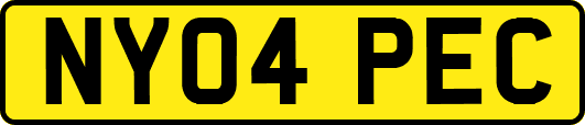 NY04PEC