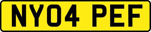 NY04PEF