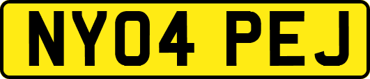 NY04PEJ