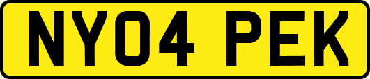 NY04PEK