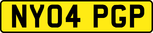 NY04PGP