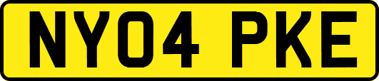 NY04PKE