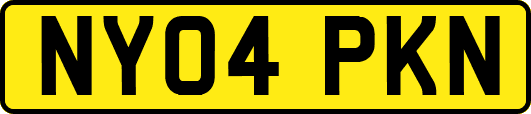 NY04PKN