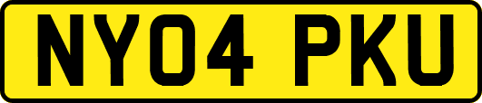 NY04PKU