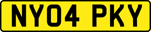 NY04PKY