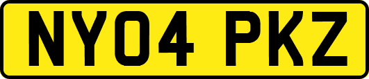 NY04PKZ