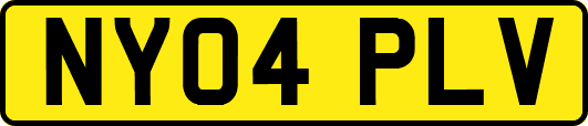 NY04PLV