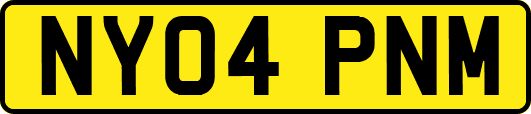 NY04PNM