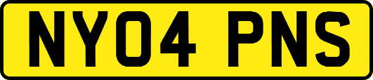 NY04PNS