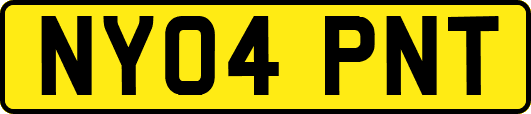 NY04PNT