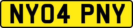 NY04PNY