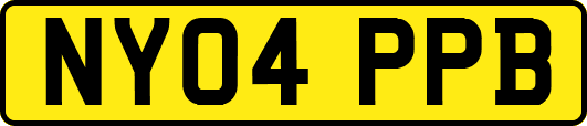 NY04PPB