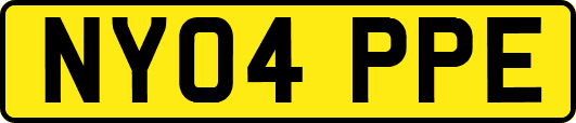 NY04PPE