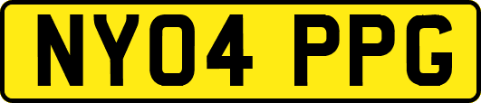 NY04PPG