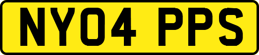 NY04PPS