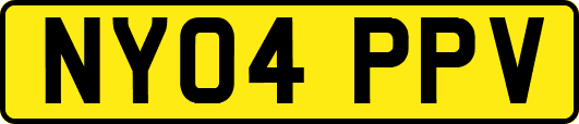 NY04PPV