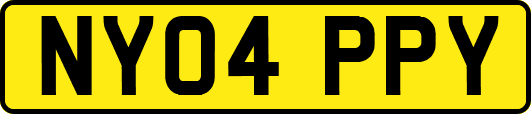 NY04PPY