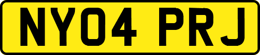 NY04PRJ