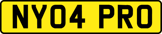 NY04PRO