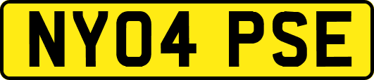 NY04PSE