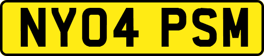 NY04PSM