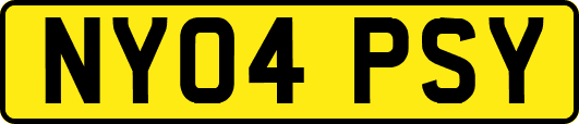 NY04PSY