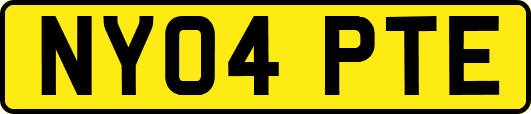 NY04PTE
