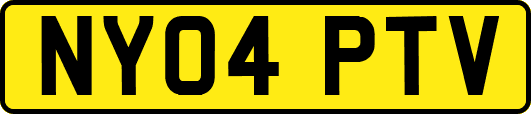 NY04PTV