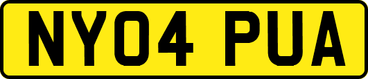 NY04PUA